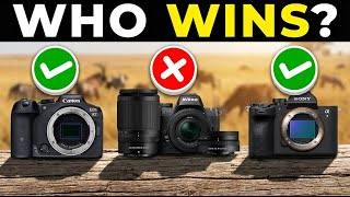 5 Best CAMERAS for WILDLIFE Photography 2026 | Top Mirrorless Cameras for Wildlife