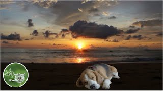 Msica para dormir rpido e relaxar profundamente musica tranquila e calmante