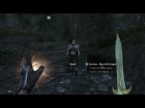 I've Never Had This Random Encounter Before - Skyrim AE