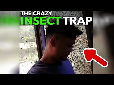 The Crazy Insect Trap | Planet Warriors Ep4 | Nas Daily