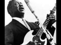 Muddy Waters - Going Home