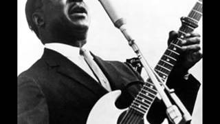 Muddy Waters - Going Home