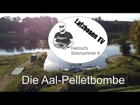 Die Aal-Pelletbombe