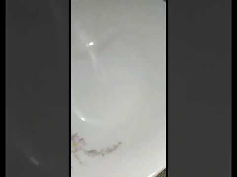 yummy duck curry!!#shorts #youtubeshorts #duck #cooking #firdausnature