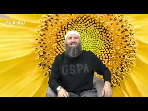 Kakav je propis vaginalne krvi? - Elvedin Pezić