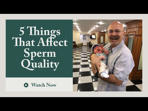 Improving sperm quality