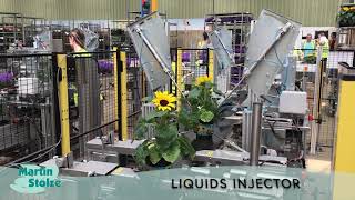 New Martin Stolze Gel injectie machine flower processing machine | Image 4 - Agroline