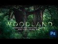 Woodland - Landscape Photography Vlog, Post processing tips and techniques using Photoshop.