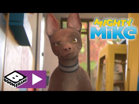 Mighty Mike | New Dog On The Block | Boomerang UK 🇬🇧