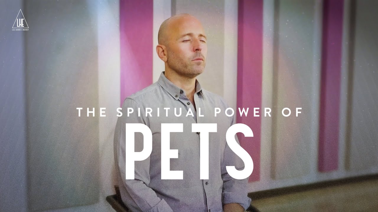 The Spiritual Power of Pets 🐈 🐶 🐠 🐢