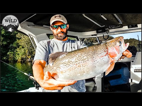 CATCHING GIANT LAKE TROUT ON SOFTIES