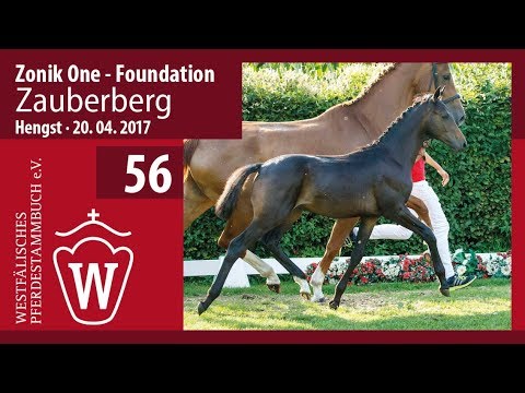 56 Zauberberg HF v. Zonik One - Foundation