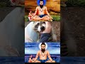 Veerabrahmendra Swami Kaalagnanam ️ Telugu Trending Editing Creating Devotional Bhajan