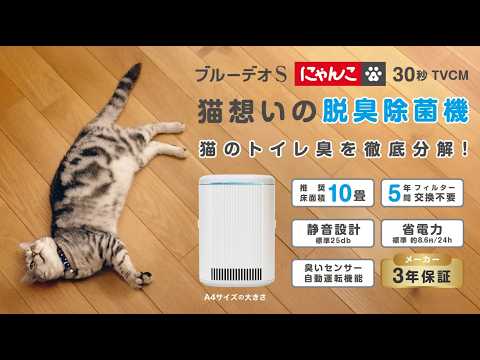 ブルーデオS にゃんこモデル グレー系ツートン MC-S311C [適用畳数：10