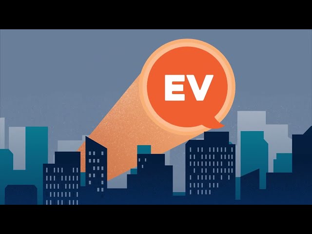 About EASYVISTA