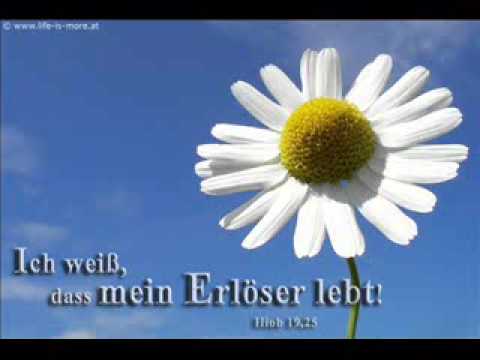 Mein Erlöser Lebt