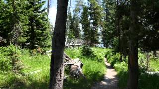 Trip video of Storm Point Nature Trail