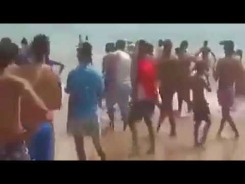People running towards Shark on the beach