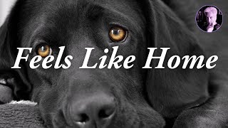 Feels Like Home | Diana Krall Karaoke