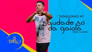 Download Saudades Só da Gaiola Thiaguinho MT