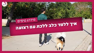 איך ללמד כלב ללכת עם רצועה - מאלף כלבים מסביר איך ללמד כלב ללכת עם רצועה - במידרג