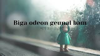 소유(SOYOU) &amp; 백현 (BAEKHYUN) - 비가 와 (RAIN) Lirik lagu (Hangul)