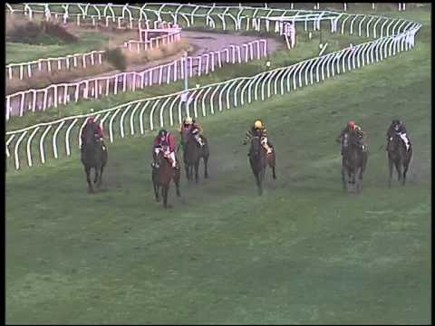 Galoppo 06/02/2015 - 2° corsa