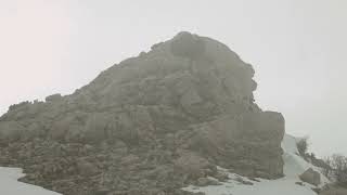 Memory within a Tree by Wassim Tanios - Trailer