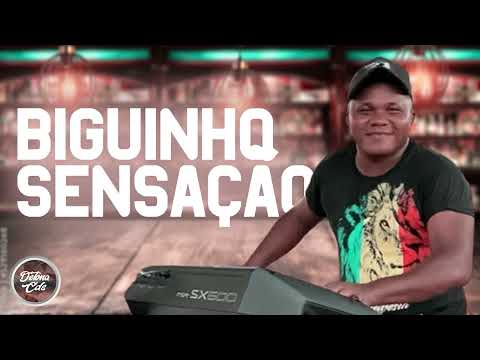 BIGUINHO SENSAÇÃO -SINTONIA DO ARROCHA - REPERTÓRIO NOVO 2024