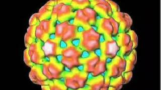 &quot;Tattoo - Strung Out&quot;