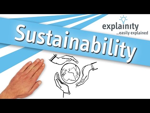 Sustainability Explained