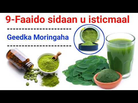 9-Faaido Geedka Moringaha - wili sidaan ma u isticmaashay ?