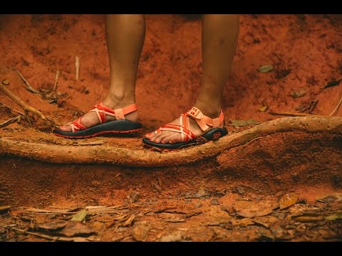 Chaco Men's Z/2 Classic Sandals (Closeout 2024) video poster