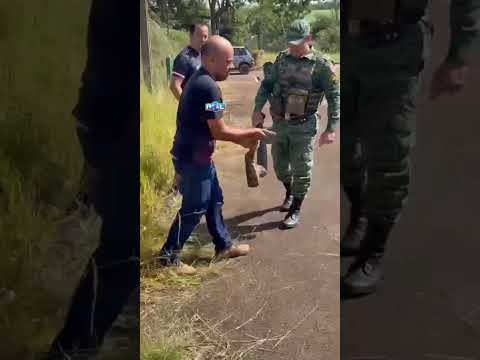 Jiboia de grande porte é resgatada na zona urbana de Abadia dos Dourados