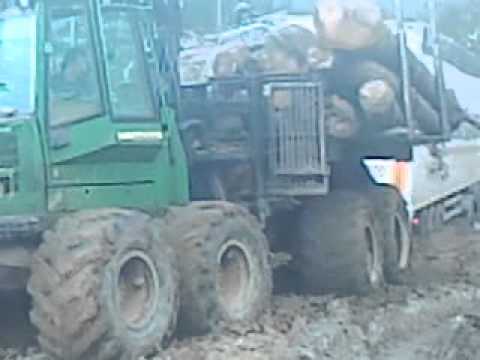 Akcija u šumi (DAF, FORWARDER & IVECO)