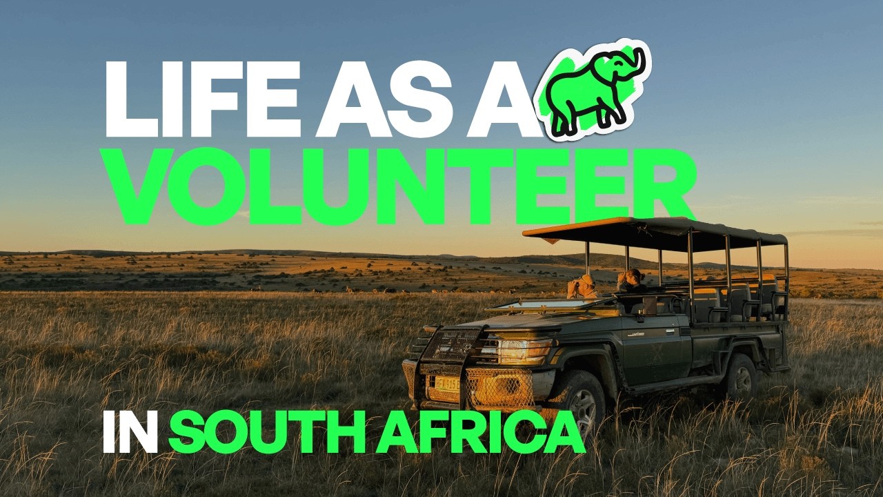 South Africa Big 5 Conservation Video