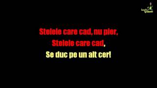 Taxi - Stelele care cad (Ka®aokeHD by Snooker6767)