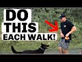 Do These 5 Dog Training Exercises Before Each Walk
