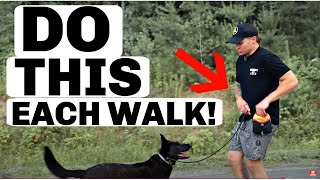 Do These 5 Dog Training Exercises Before Each Walk