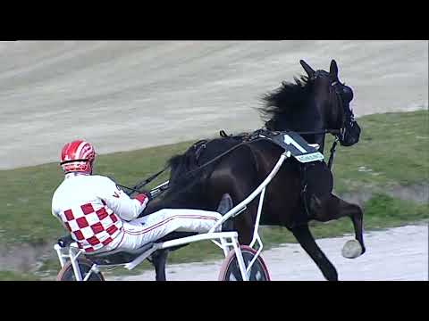 Napoli Trotto 19/03/2023 - 1ª corsa