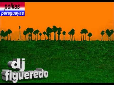 polkas paraguayas-recordando exitos