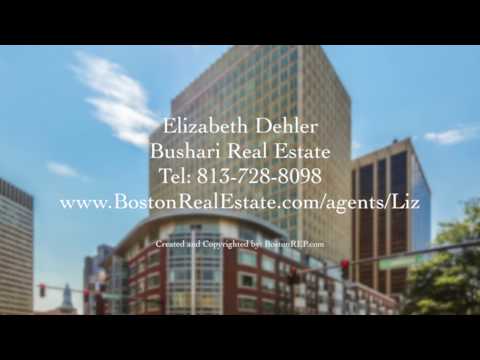 10 Bowdoin Street, Unit 405, Boston MA - Elizabeth Dehler - Tel 813-728-8098