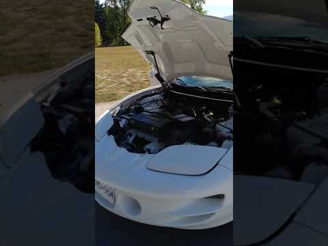 1999 Pontiac Firebird Trans Am WS6 (CC-1254373) for sale in Port Alberni, B.C. 