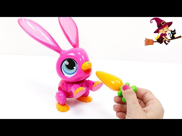 Vídeo relacionado con Pipihome Juguetes de Conejito para niños, Conejo de Peluche electrónico Interactivo para Mascotas, simulación de Conejo de Peluche Suave con Juguete de Sonido