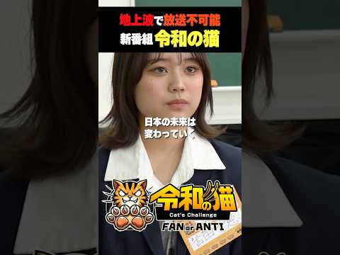 児童教育学科 地上波もAbemaも放送NGかも。令和の猫、近日公開！#令和の猫 #山本康二 #ゾス #令和の虎じゃないよ