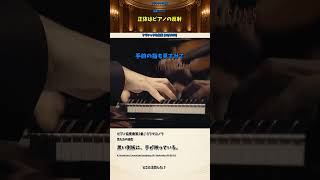 Download lagu え、手が4本ある？ ピアノの反射に目がいく｜ラフマニノフ2番【名曲020】 mp3