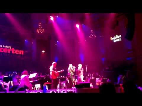 Love you more - Racoon & Ilse @ concertgebouw