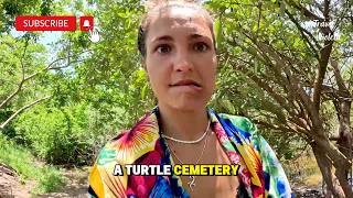 Turtle Cemetery in Mexico | This Place Broke My Heart 💔 [4K]
