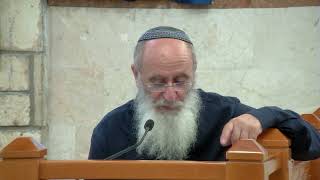 תפקידו של שבט מנשה – שיעור 123 – ספר במדבר