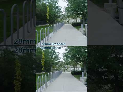 Standard vs Active Stabilization in Sony Cameras #sonymirrorless